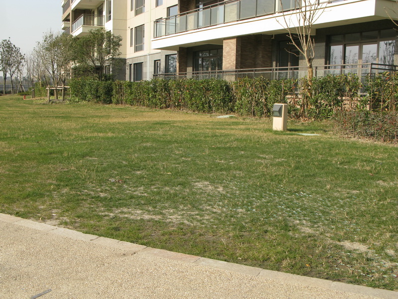 消防登高层应用